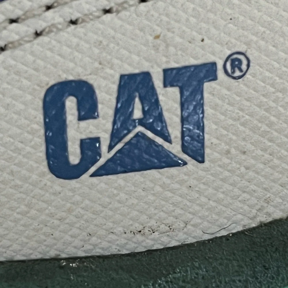 Caterpillar these sturdy